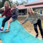 IMG_9956-scaled_950x475_acf_cropped