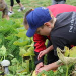 IMG_0786-scaled_950x475_acf_cropped