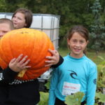 IMG_0802-scaled_950x475_acf_cropped